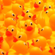 Illustration for article titled NASA Offering Reward For Finding its 90 Lost Rubber Duckies